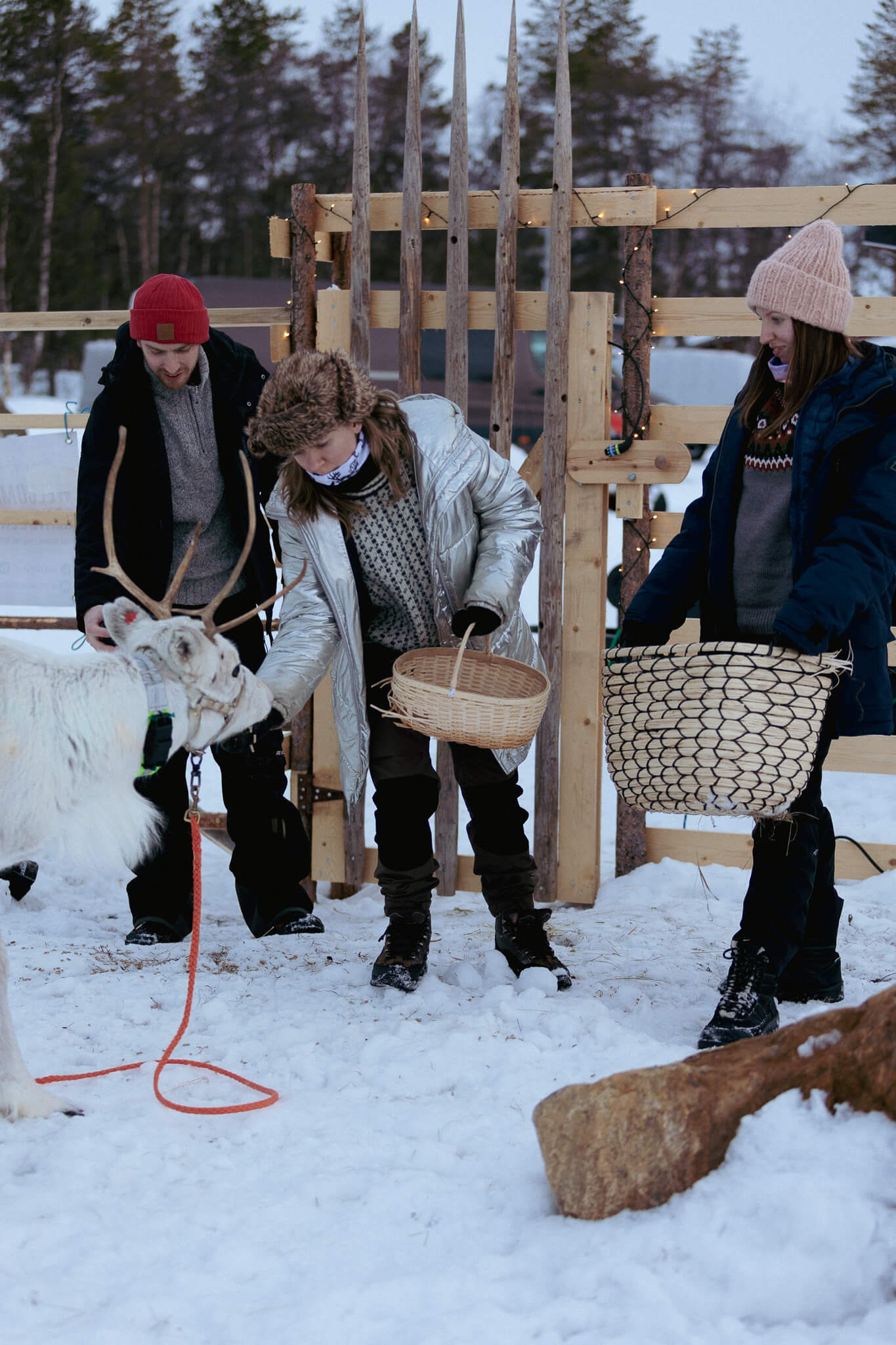 Visitors on reindeer farm
